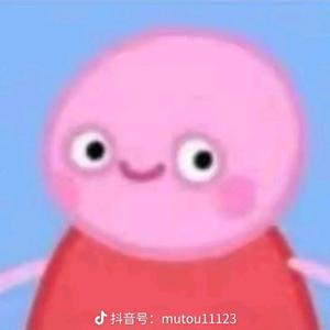TQ君头像