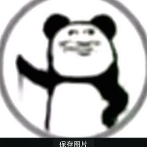 知情达理山雀djYeG头像