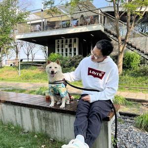 七爸爱滑雪 头像