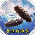 董佳聊海参头像