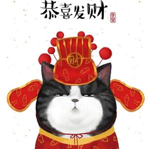 胖喵不喵头像