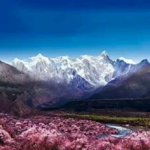 山东小周哥在墨脱开特产店（每天8点直播）头像
