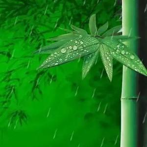 得益东方6a9W头像