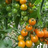 山青水秀56888头像