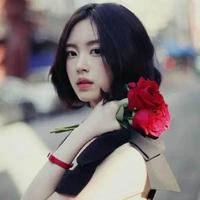 优雅枫叶5W1S头像