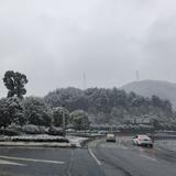 一口一口猪头像