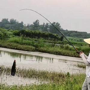 野钓小杨哥头像