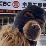 新能源摩托车头像