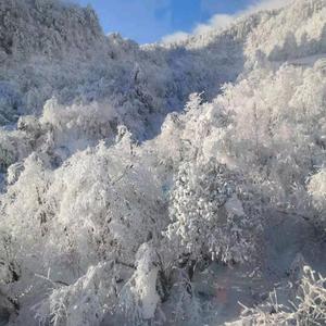 往后余生头像