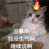 今天磕什么头像