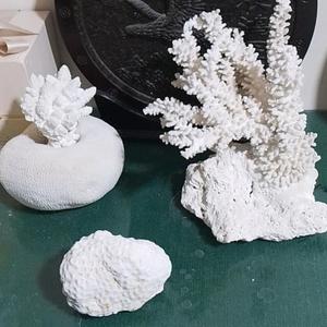 释然看风景头像