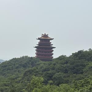 中国吧头像
