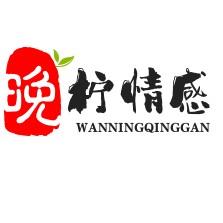 晚柠情感头像