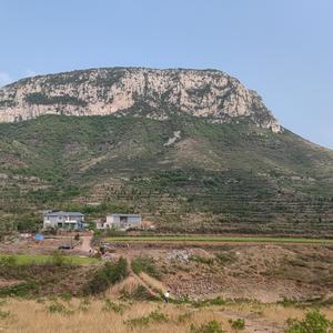 陈老师志愿填报头像
