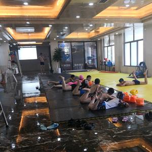 热情豆浆0F头像