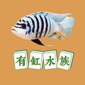 有缸水族头像