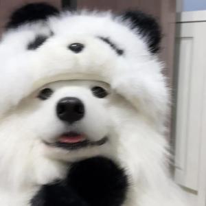 小北先生头像