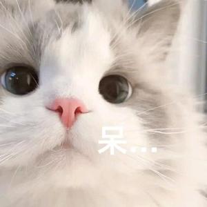 csgobaki头像