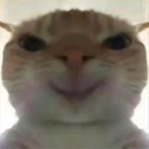 鼠鼠头像