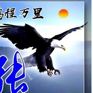 河南帅哥6338797413头像