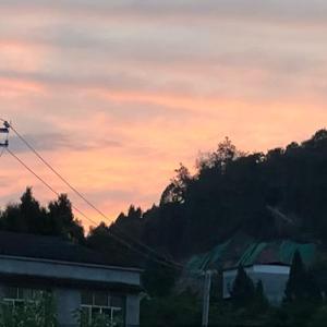 好乌龟头像