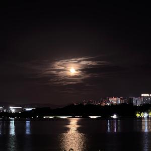 灰原哀头像
