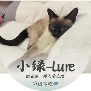 小绿Lure头像