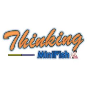 ThinkingFish头像