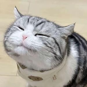 离人愁头像