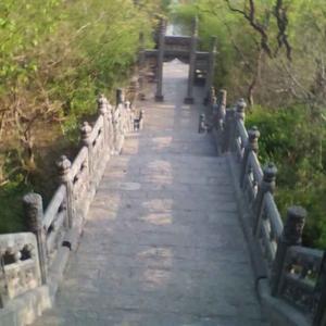 小马聊体育头像