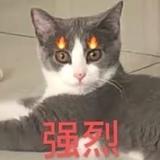 用户4032410720147头像