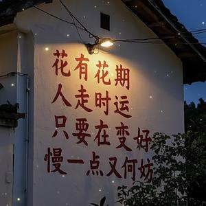小木木头像