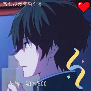 怪盗x00头像
