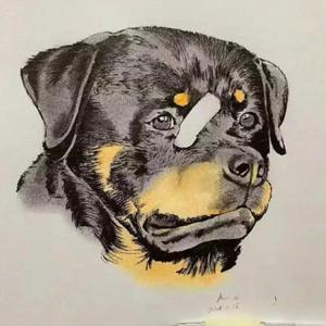 咕叽视界头像