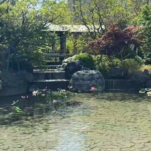 如风修真头像