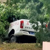 小农民看车头像