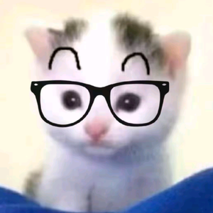 猫处(无畏契约)头像