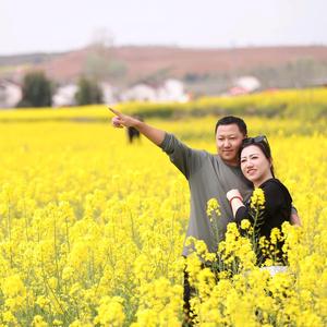 凯泰鑫小杨头像