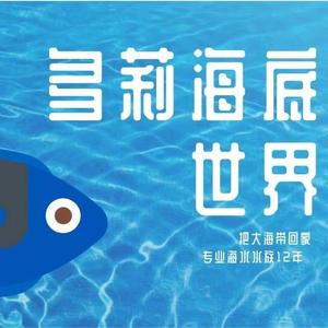 多莉的海底世界（高端玩家定制）头像