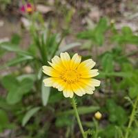 江苏牛仔男孩头像