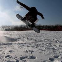 阿呆不滑板头像