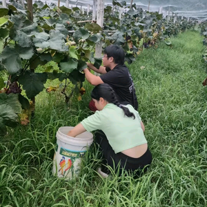 林林子头像