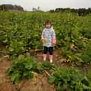 夏天头像