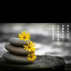 幸福船帆Mm头像