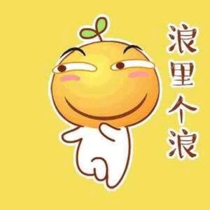 飞得更高zdr头像