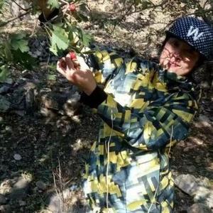 海棠依旧141319头像