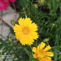 尝尝生活的苦头像