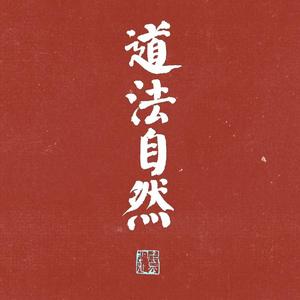 Z大看世界经历头像