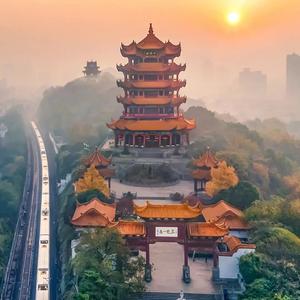 小七娱乐头像