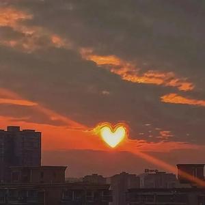 夜闻玲头像